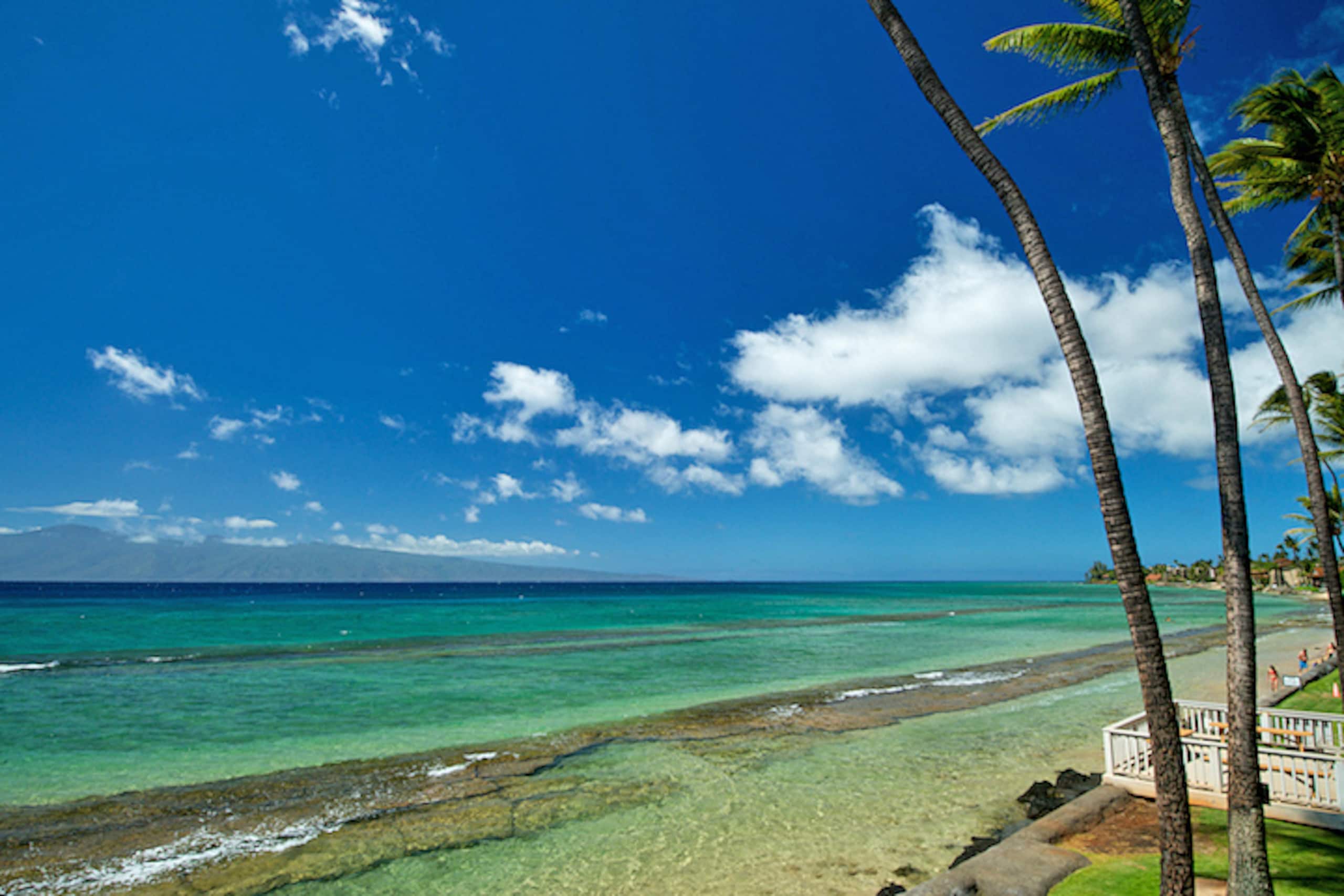 Condo in Lahaina · ★4.87 · 2 bedrooms · 3 beds · 1 bath - Image 78
