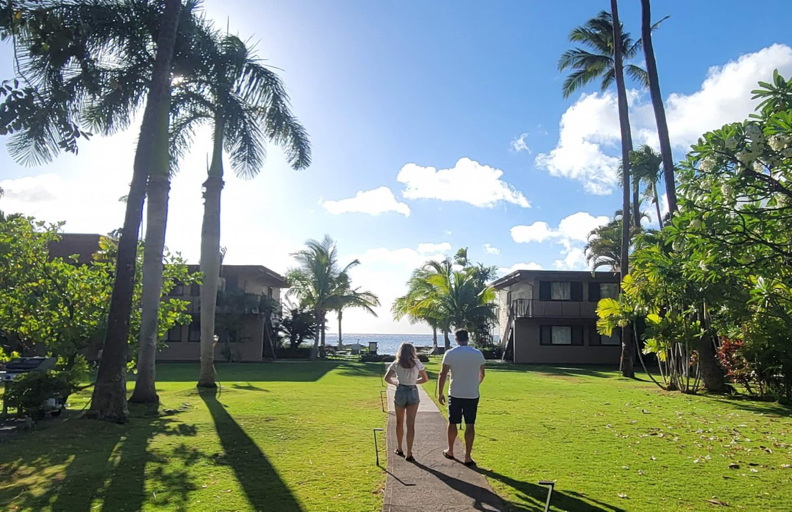 Condo in Lahaina · ★4.87 · 2 bedrooms · 3 beds · 1 bath - Image 55