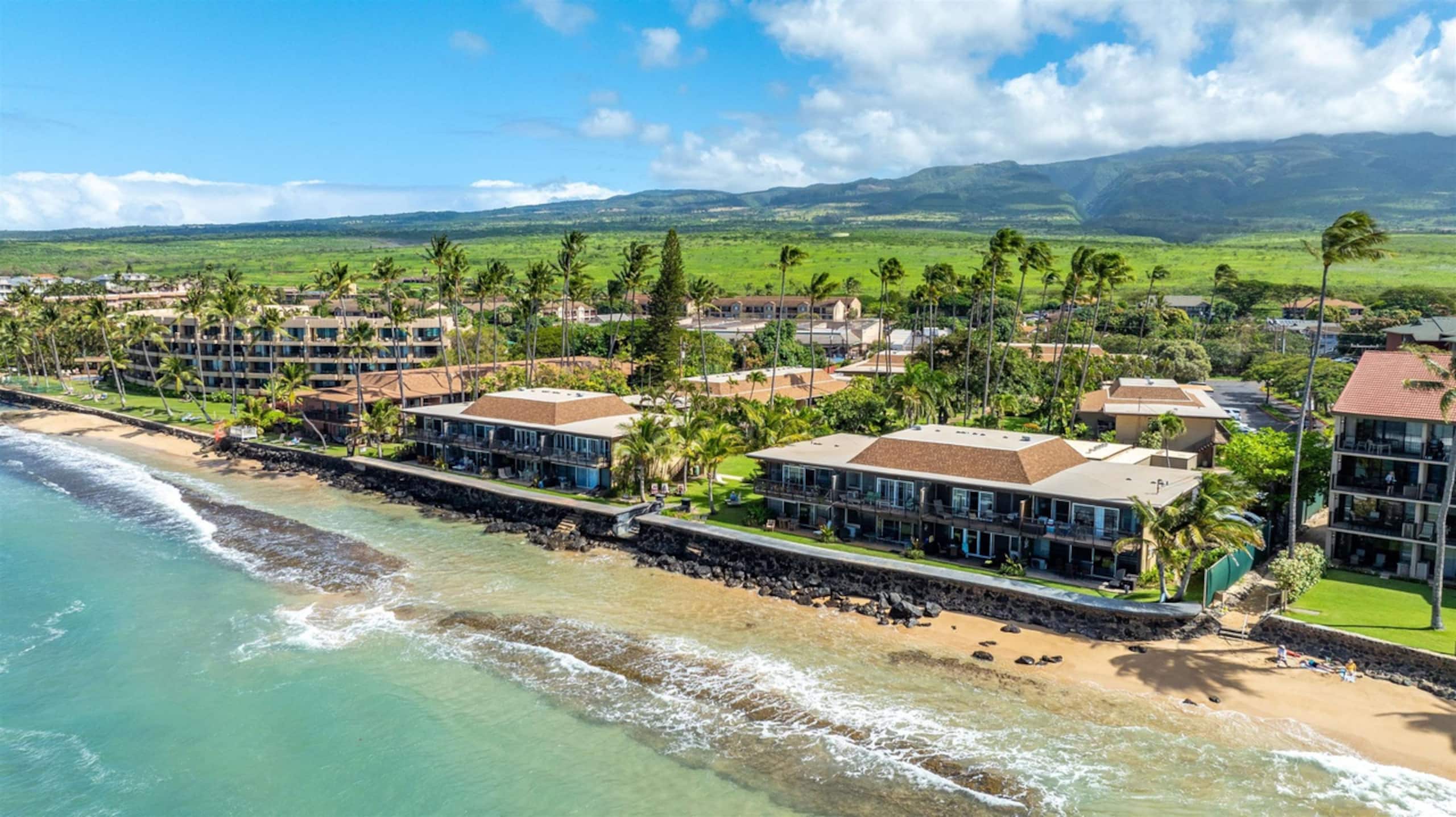 Condo in Lahaina · ★4.87 · 2 bedrooms · 3 beds · 1 bath - Image 50