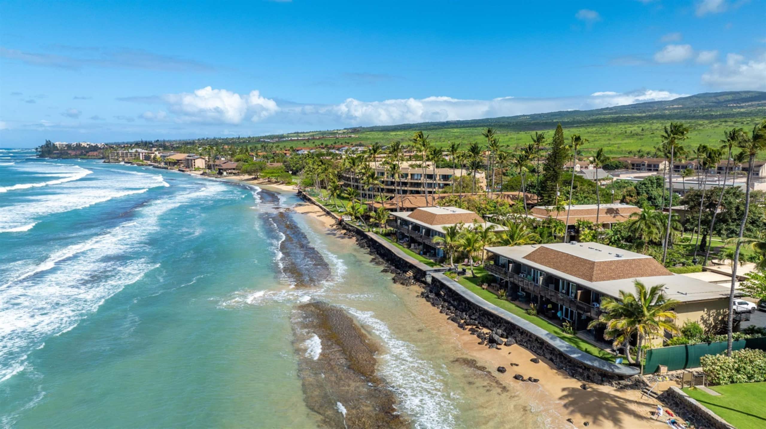 Condo in Lahaina · ★4.87 · 2 bedrooms · 3 beds · 1 bath - Image 51
