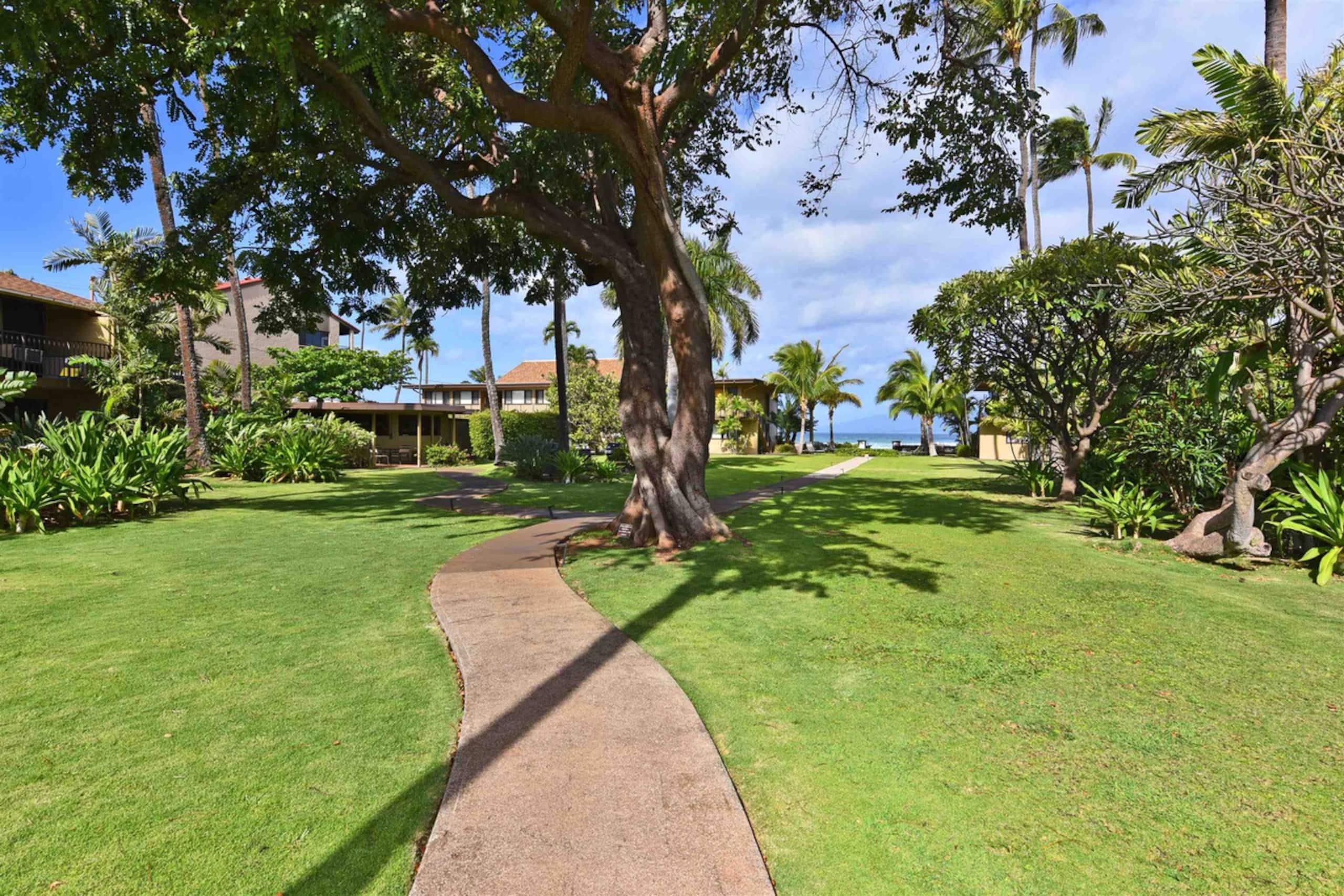 Condo in Lahaina · ★4.87 · 2 bedrooms · 3 beds · 1 bath - Image 79