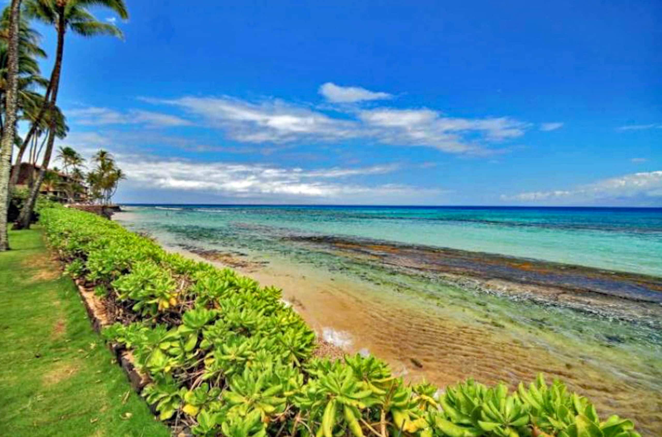 Condo in Lahaina · ★4.87 · 2 bedrooms · 3 beds · 1 bath - Image 54