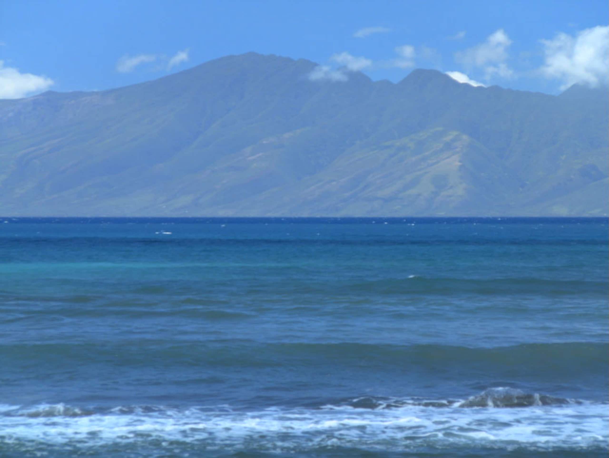Condo in Lahaina · ★4.87 · 2 bedrooms · 3 beds · 1 bath - Image 56