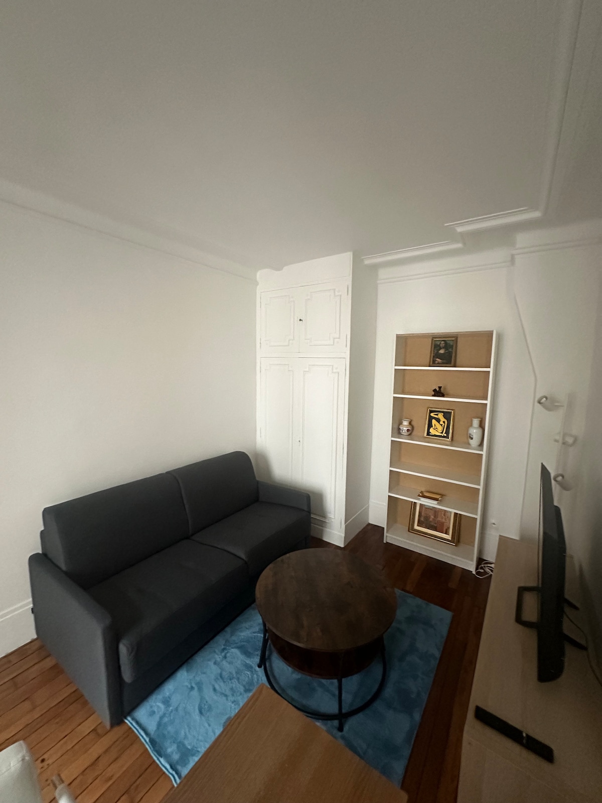 A modern living area features a comfortable dark sofa facing a wooden coffee table. A light blue rug is laid over hardwood flooring. A bookshelf is positioned against the wall, displaying decorative items and books. A white closet stands nearby, enhancing the room's functionality.