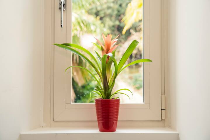 Granpanorama Legami Charme&Relax gallery image 3