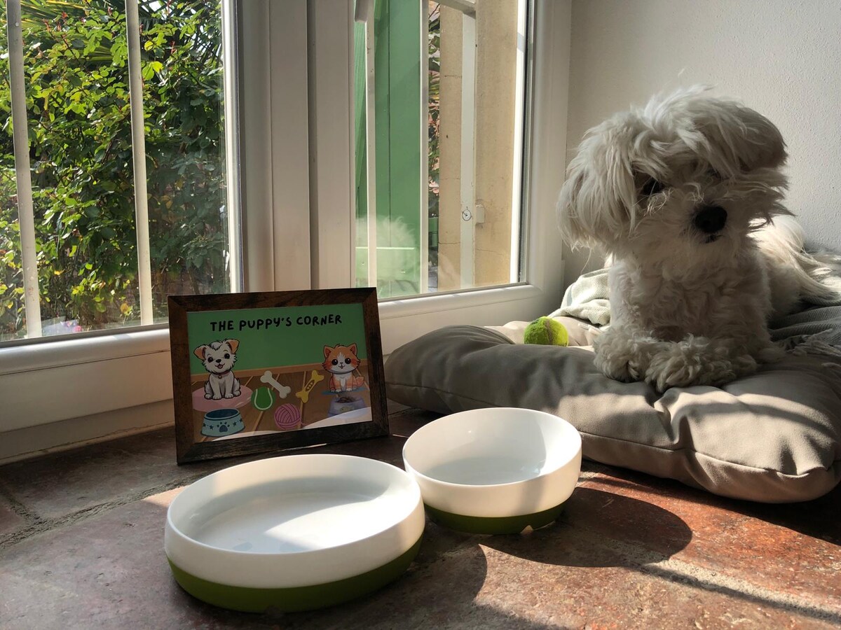 A small dog rests on a soft cushion beside two pet bowls set on a tiled floor. A framed sign labeled 'THE PUPPY'S CORNER' is positioned nearby. Sunlight filters through the large windows, illuminating the cozy area.