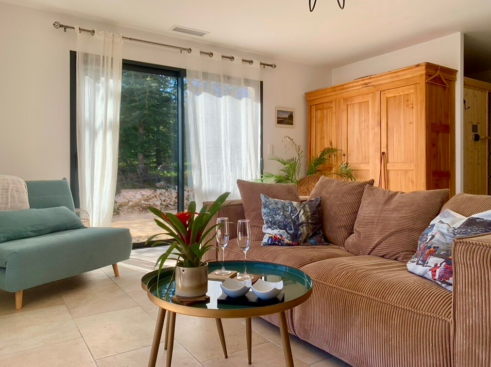 雪松林边缘的休闲区 