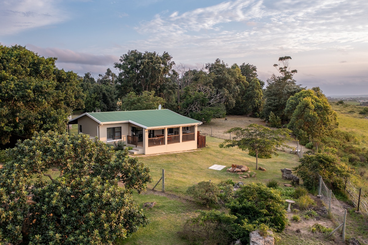 The main farmhouse is set within a natural landscape, surrounded by greenery and trees. A green roof complements the warm exterior. A spacious veranda is seen, offering views of the open grounds, while a pathway leads through the lush surroundings.