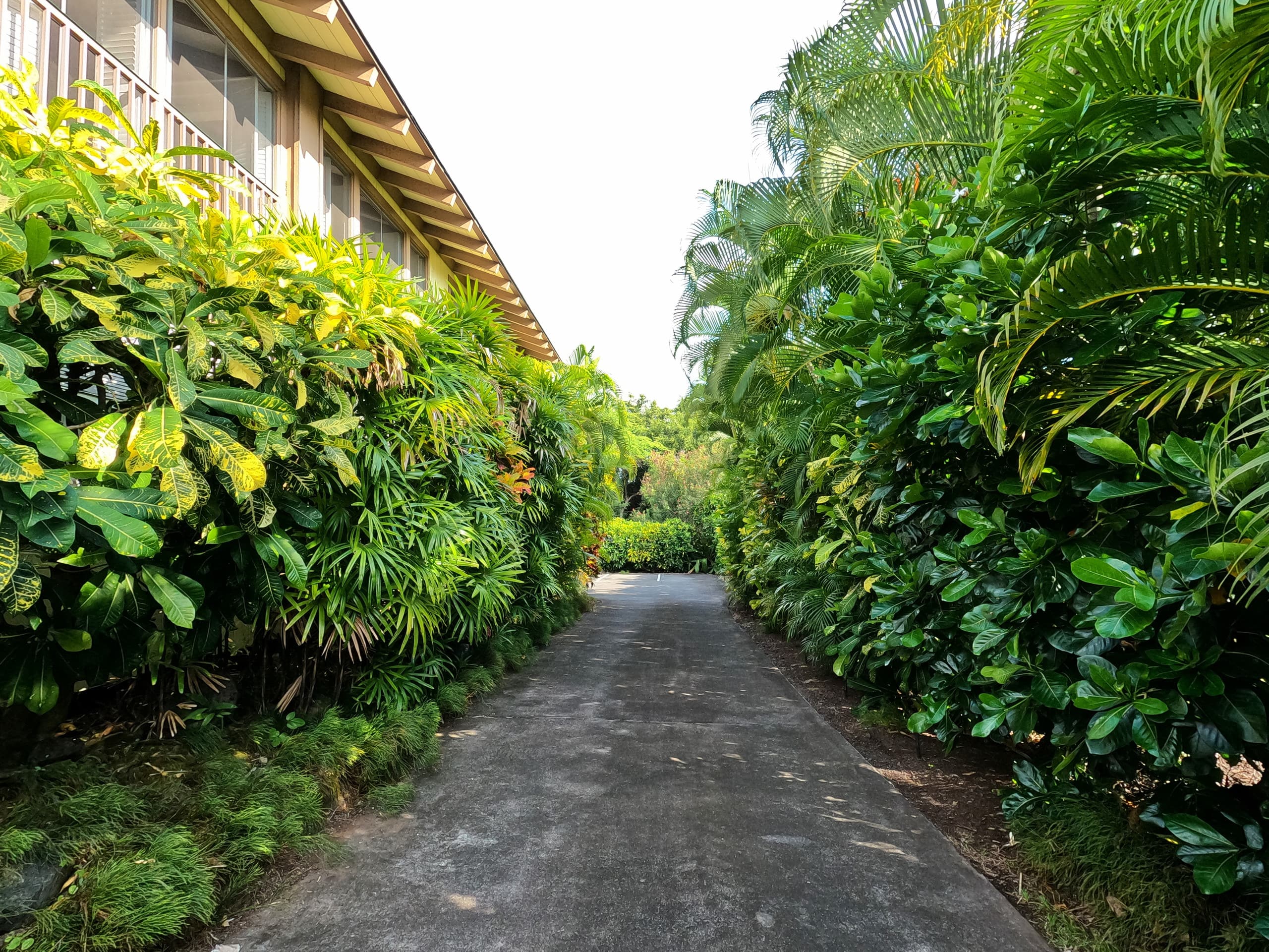 Location! Ocean views king bed walk to magic beach - Image 64