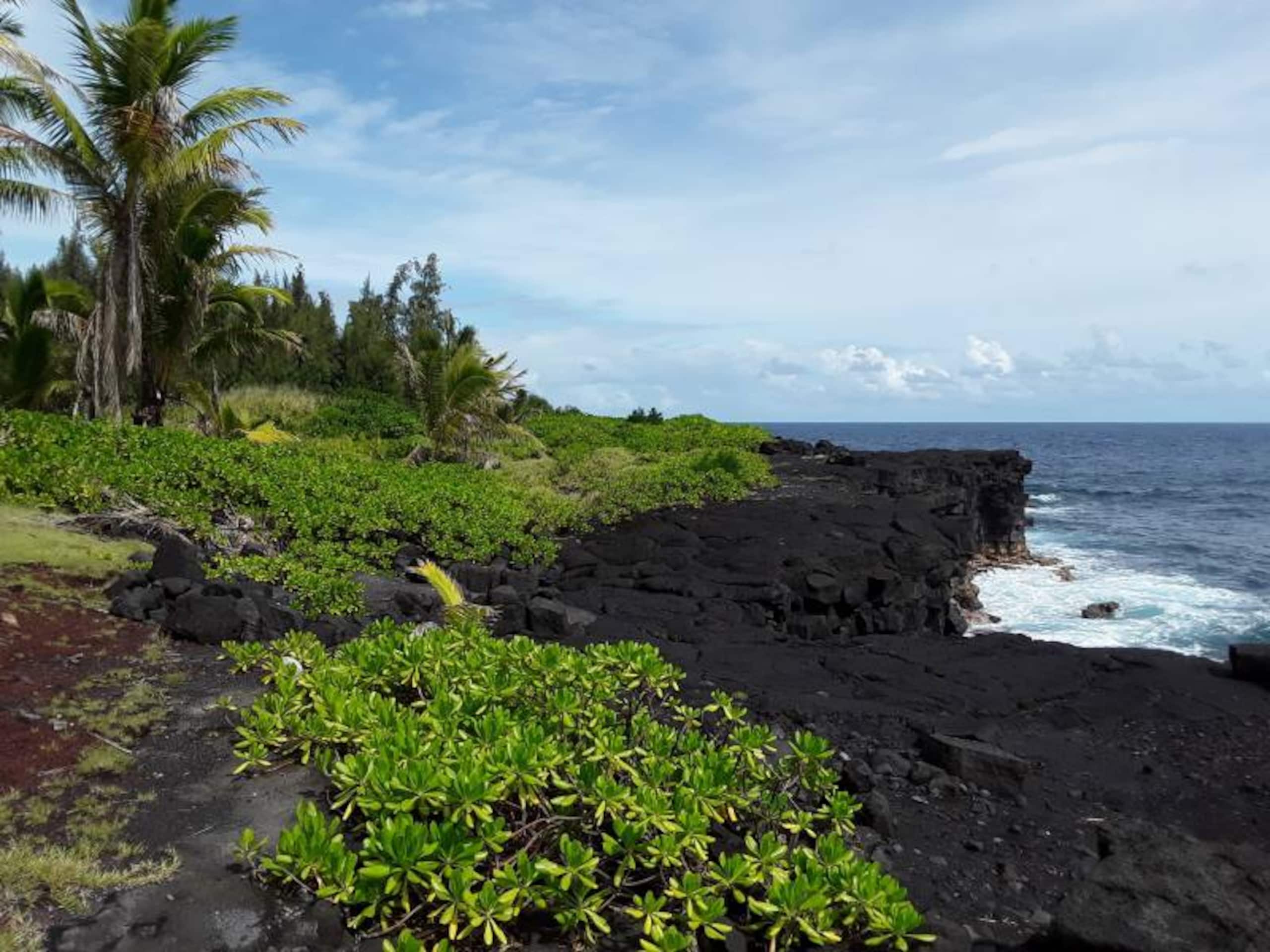 Home in Keaau · ★5.0 · 3 bedrooms · 3 beds · 2 private baths - Image 37