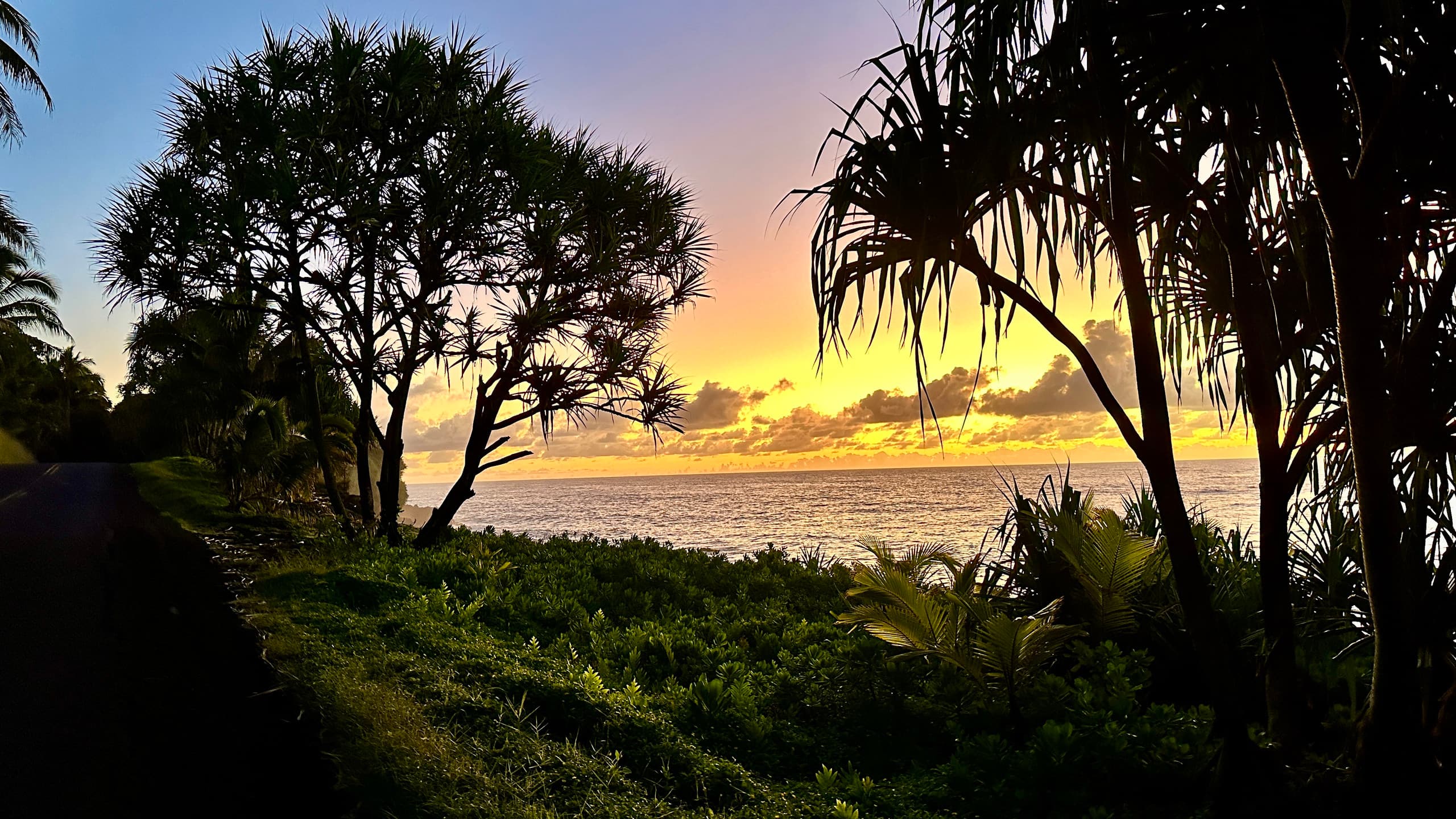 Coastal Jungle Bamboo Cottage ~ 5 - Photo 21