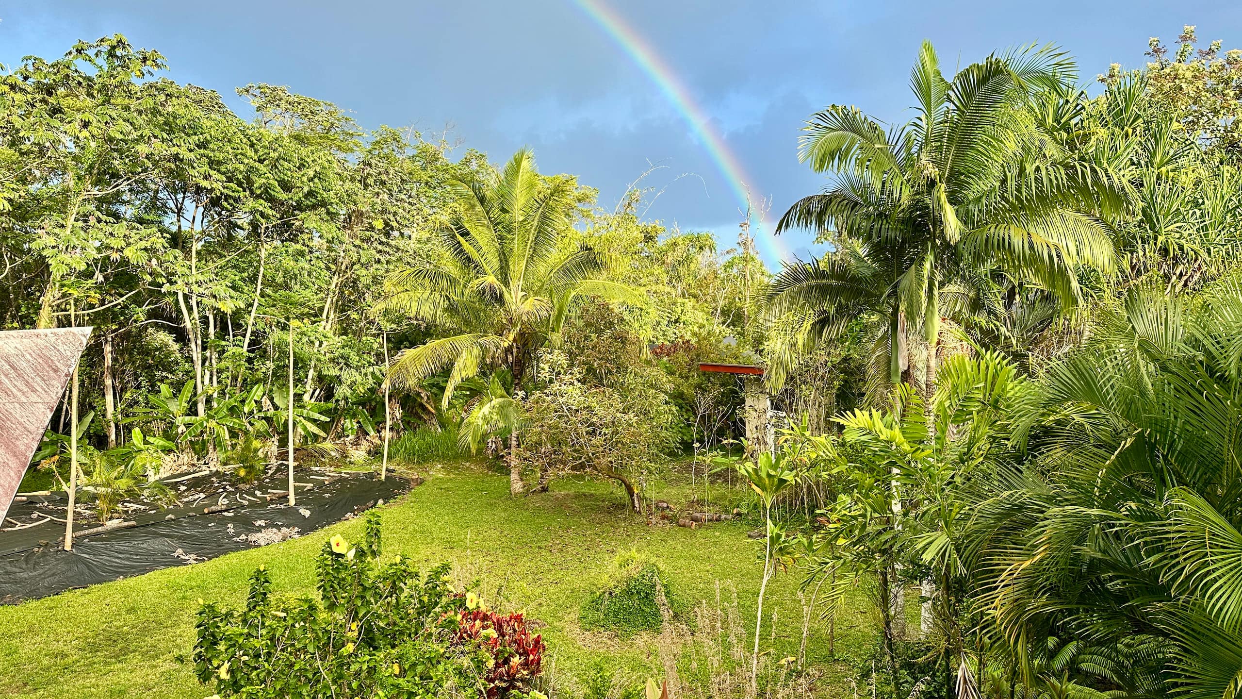 Coastal Jungle Bamboo Cottage ~ 5 - Photo 9