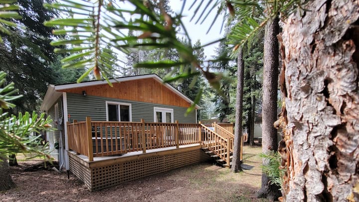 Pinescape: Cabinwififireplacepet Friendlyfish - Saskatchewan