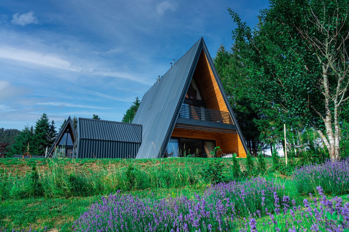 A modern A-frame house with a sleek metal roof is surrounded by lush green grass and vibrant lavender flowers. Large glass windows on the ground floor provide ample natural light, while balconies on the upper level feature wooden railings, enhancing the scenic outdoor views.