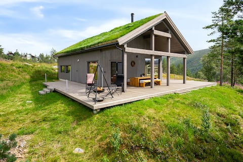 New mountain cabin with lovely views