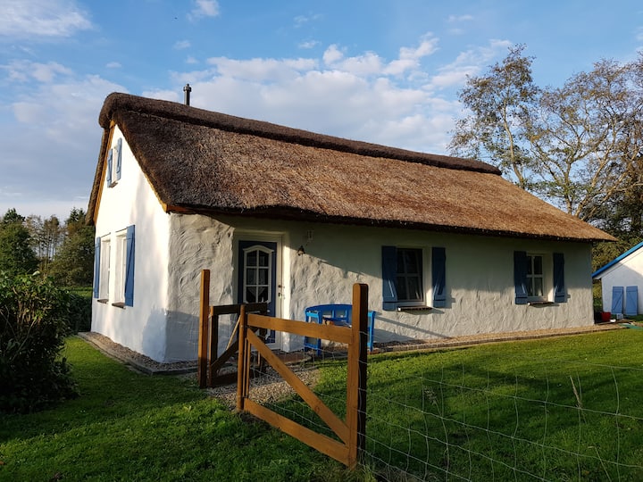 Friesenkate Ostfriesland - Marienhafe