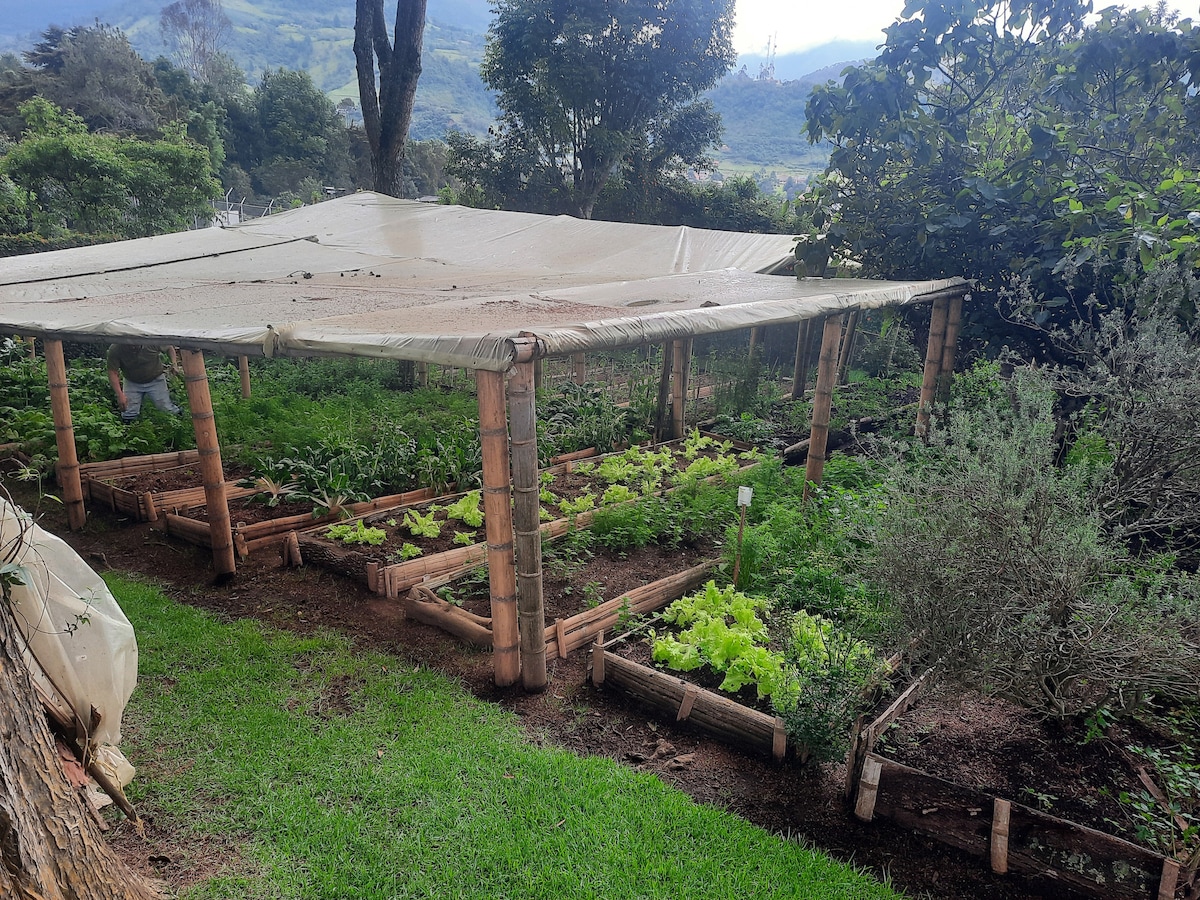 A well-organized garden is presented, featuring raised wooden beds filled with various vegetables and herbs. A shaded area with a canopy provides protection from the sun, while vibrant greenery thrives around the garden, contributing to the overall natural ambiance of the space.