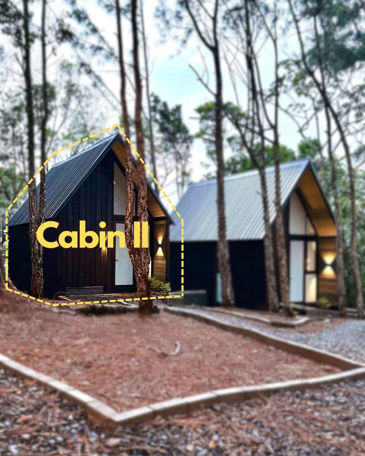 Tiny Cabin | Cerro Azul - Cabaña II - Cabañas en renta en Panamá