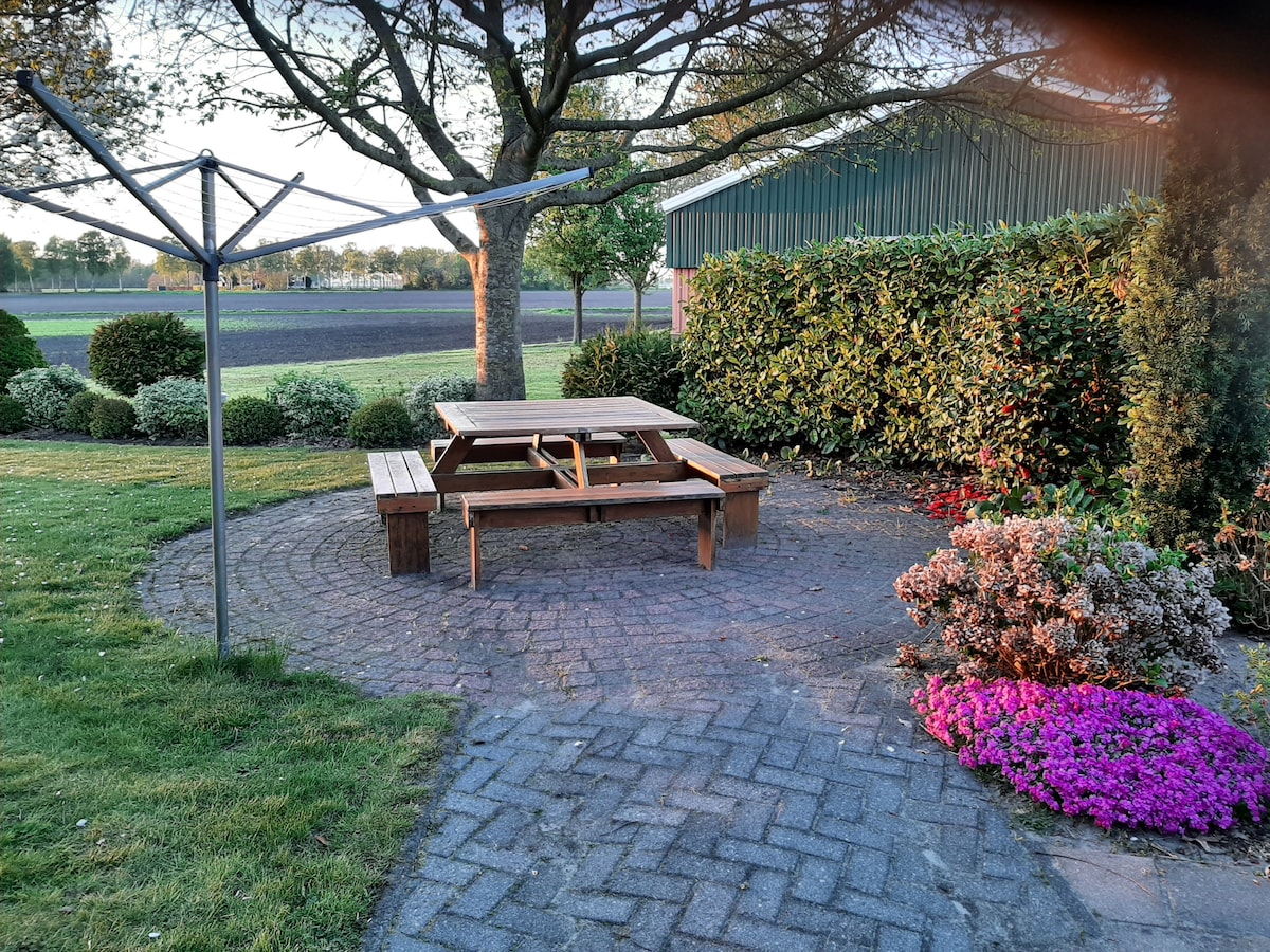 An outdoor seating area features a wooden picnic table surrounded by lush greenery and blooming flowers. A clothesline stands nearby, and the picture captures a serene landscape in the background, enhanced by soft evening light.