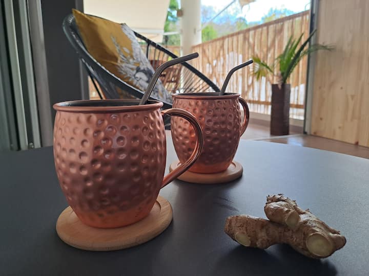 Studio Calme Et Fonctionnel - Martinique