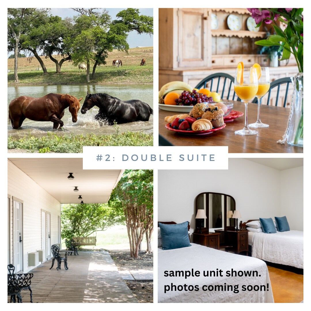 The image showcases a serene creek with horses wading through the water amidst lush greenery. A dining table is set with fresh fruits and orange juice, inviting guests to enjoy a meal. A spacious porch is highlighted, featuring seating and access to nature. A cozy bedroom setup displays two beds, with natural light illuminating the space.