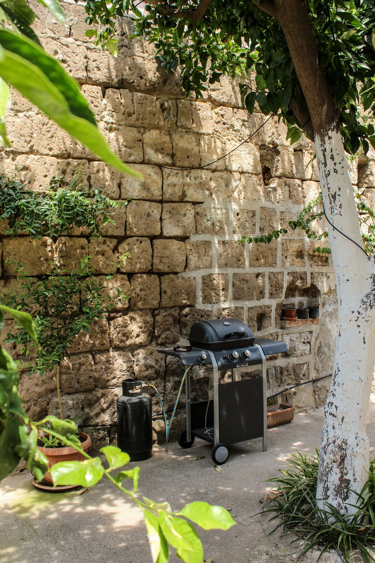 An outdoor space features a barbecue grill positioned near a stone wall, surrounded by greenery. Potted plants can be seen adding a natural touch, with a small tree providing shade. The area offers a setting for outdoor cooking and dining.