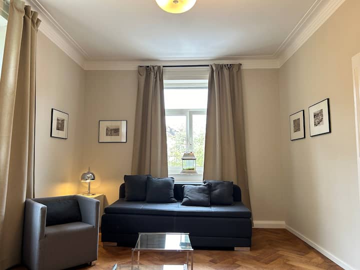 2张舒适的大沙发、2把扶手椅和2张玻璃边桌，位于历史悠久的油镶木地板上。 小型艺术展览在墙上涂上原创蚀刻，光线充足，在客厅/卧室营造出舒适的氛围。