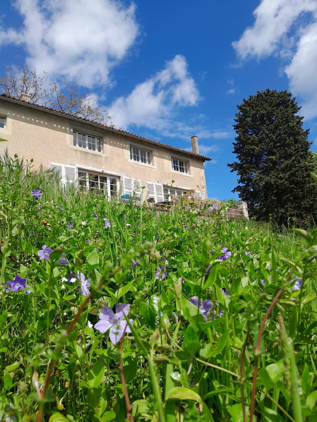 A serene house is situated against a backdrop of blue sky and scattered clouds, surrounded by lush greenery and blooming flowers. The exterior features multiple windows with shutters, providing a connection to the natural landscape. The vibrant colors of the flowers accentuate the peaceful setting.