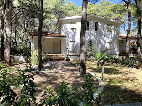 Villa in the pine forest and near the sea