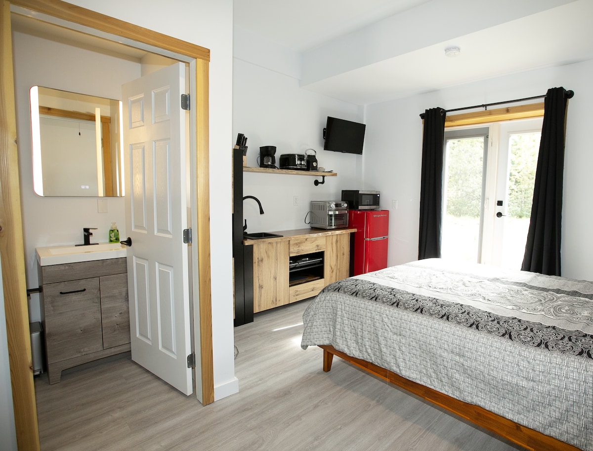 A spacious room features a comfortable bed with patterned bedding, a small kitchenette with modern appliances, and a compact bathroom area. Natural light floods in through glass doors leading to an outdoor space, while dark curtains frame the windows.