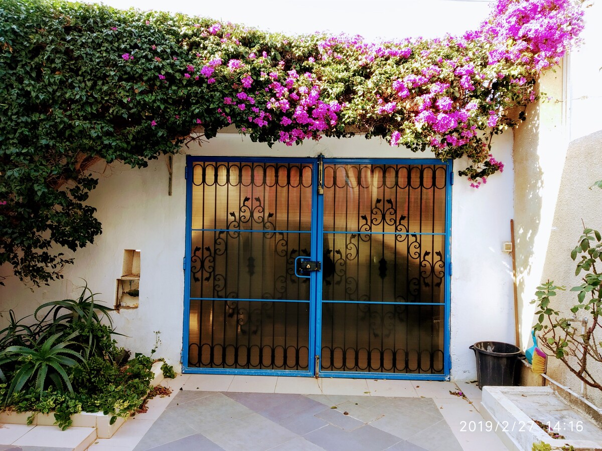 A metal gate with intricate wrought iron detailing is framed by vibrant bougainvillea flowers, adding a pop of color against the white wall. Lush green plants are visible at the base, enhancing the inviting entryway to the villa.