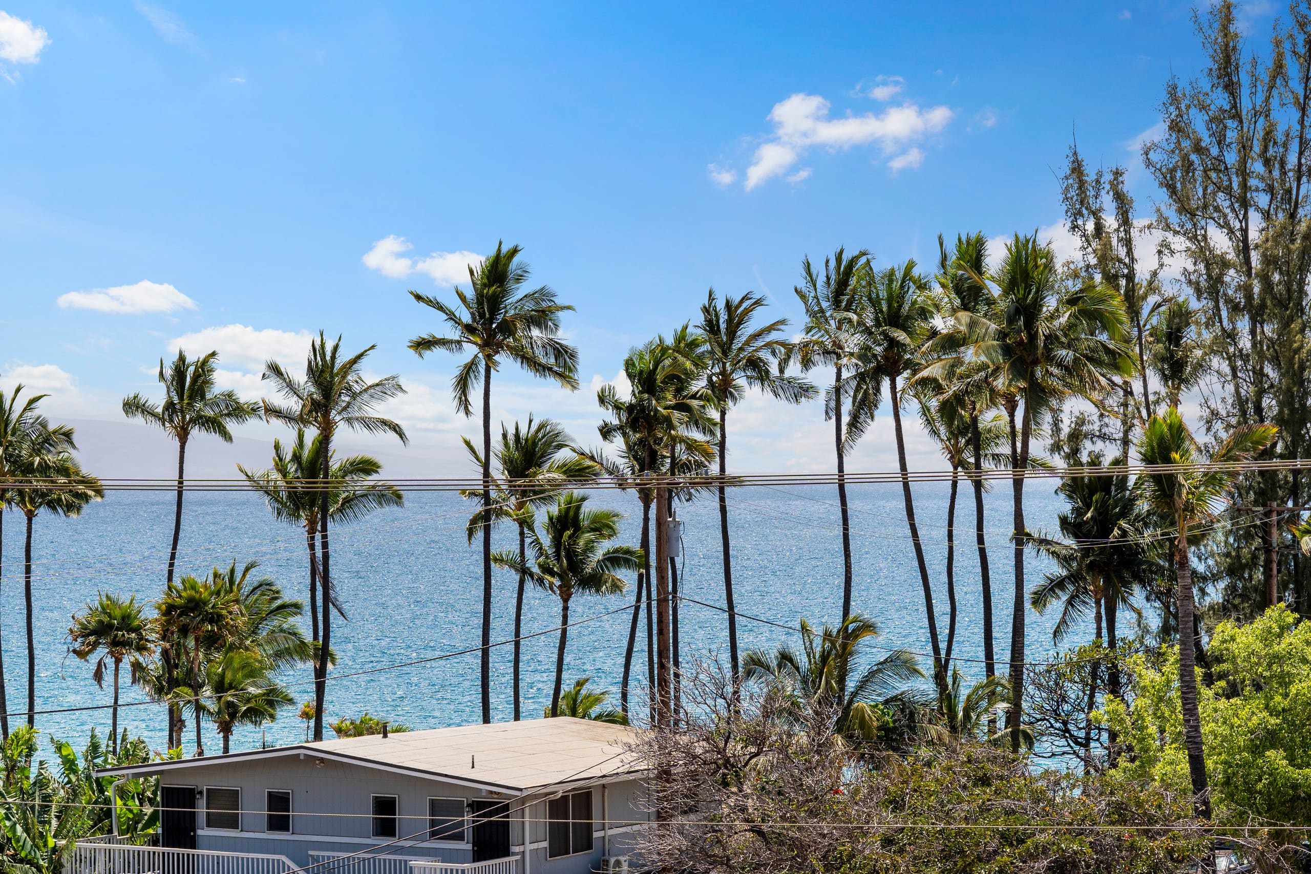 Condo in Kihei · ★4.95 · 2 bedrooms · 3 beds · 2 private baths - Image 31