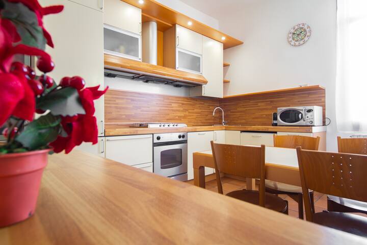 Ca’ Speranza Apartment in Venice Mestre gallery image 4