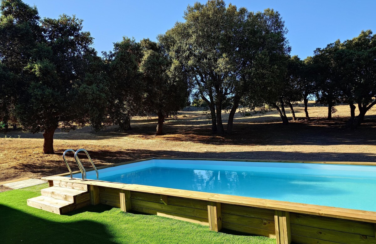 A clear swimming pool is framed by a wooden deck, surrounded by lush green grass. Majestic oak trees provide natural shade in the background, set against a bright blue sky. The tranquil atmosphere invites relaxation under the sun.