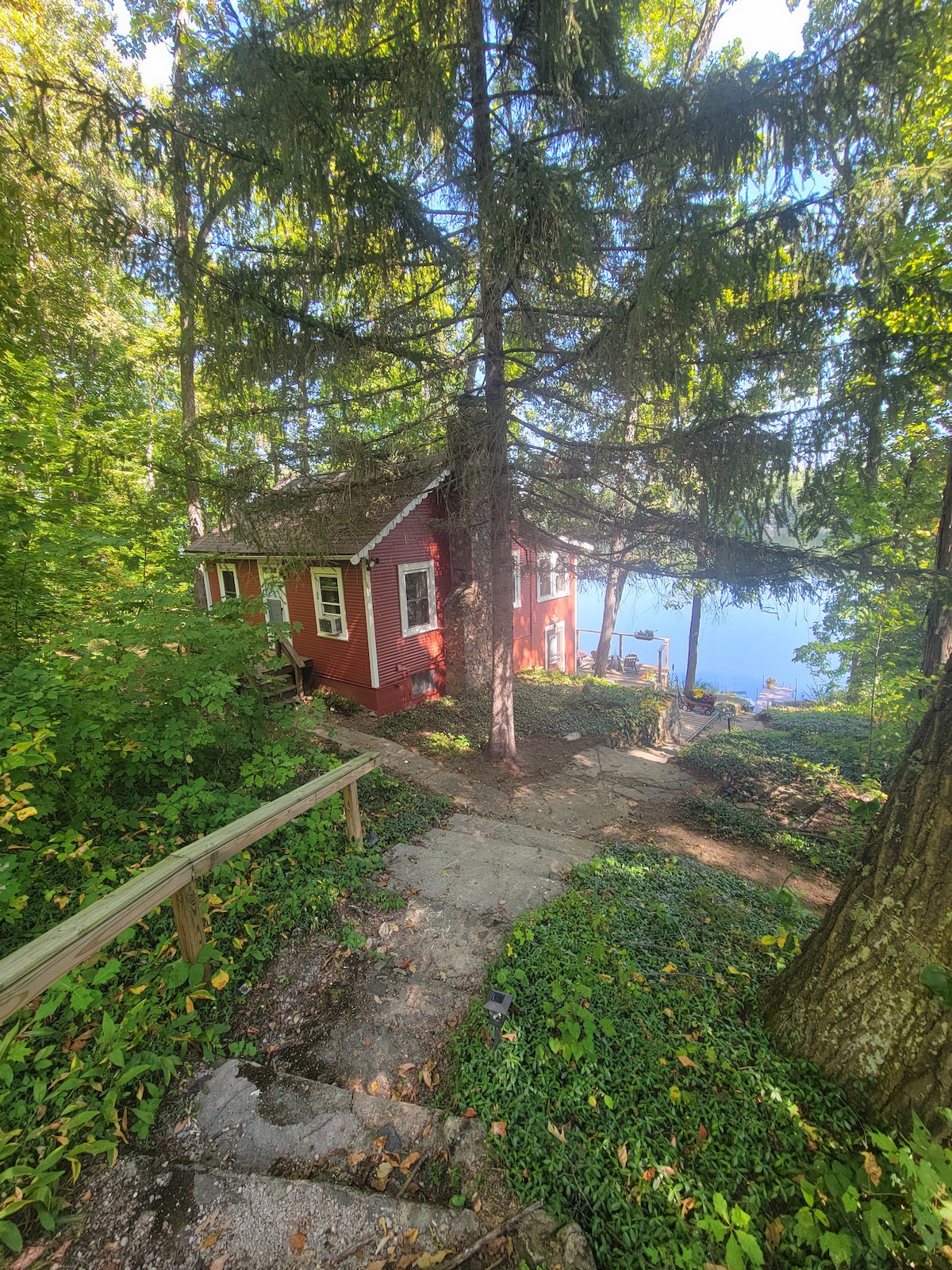 A cozy red cottage is nestled among tall trees, surrounded by lush greenery. A pathway leads down to the lake, where glimpses of calm water can be seen between the trees.