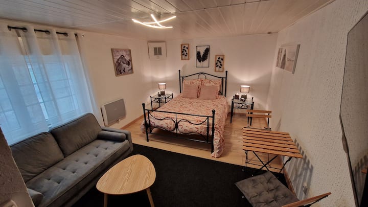 Appartement Calme Et Discret - Brumath
