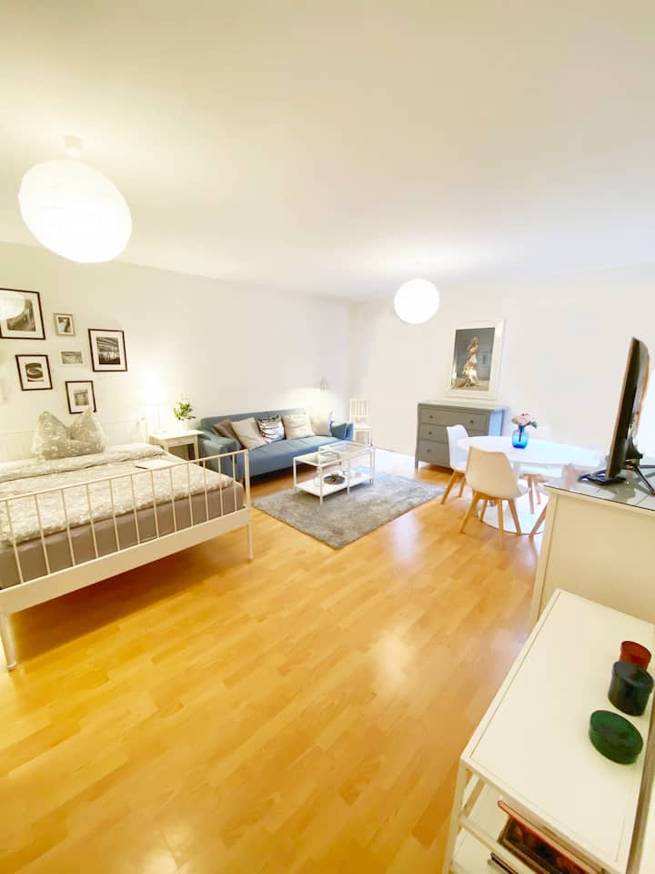 Вашата прекрасна огромна дневна соба со голем телевизор (Netflix), голема трпезариска маса, двоен кревет, кауч за спиење итн...