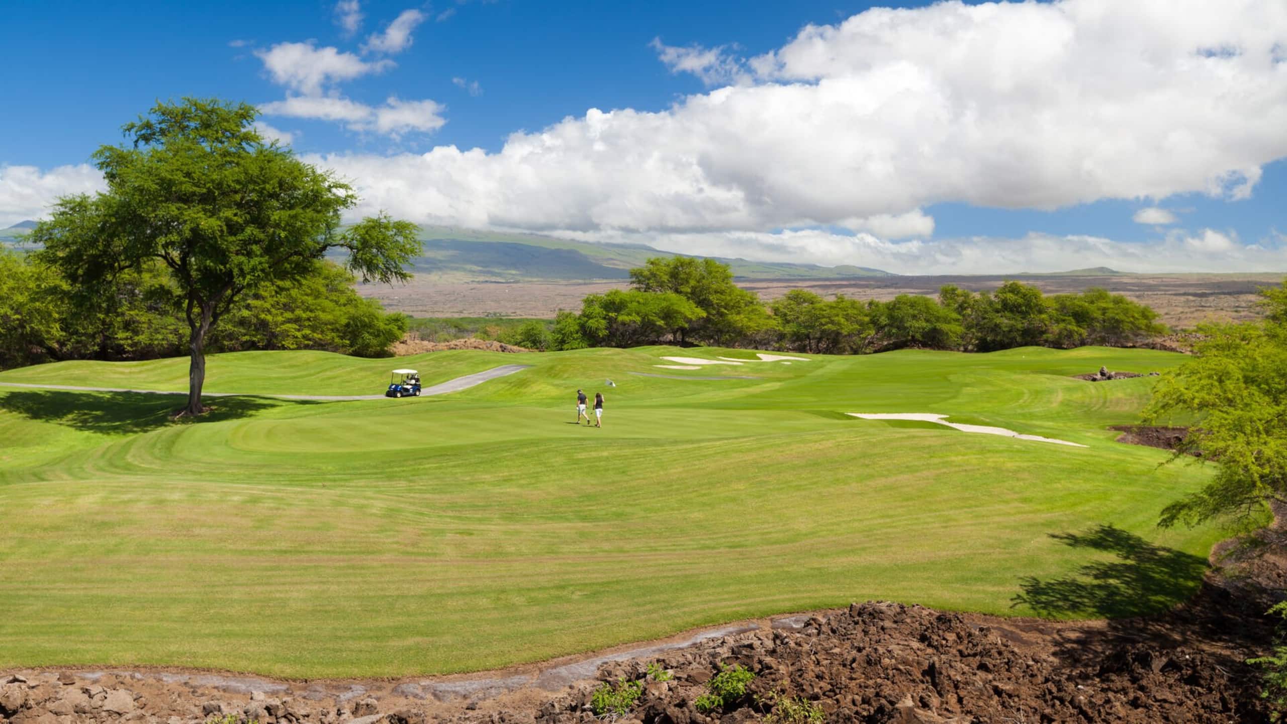 Home in Waimea · ★5.0 · 4 bedrooms · 5 beds · 4.5 private baths - Image 65