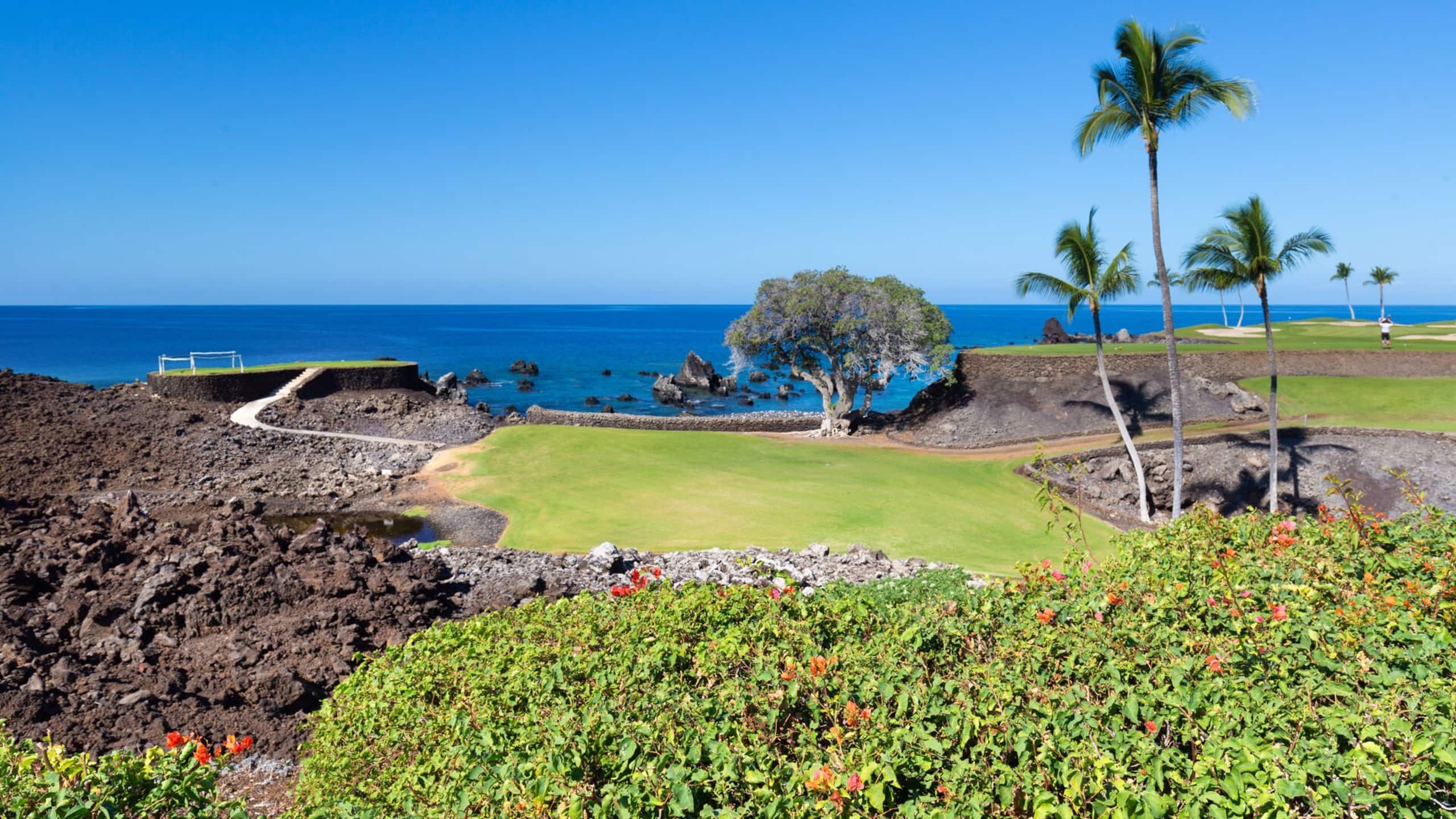 Home in Waimea · ★5.0 · 4 bedrooms · 5 beds · 4.5 private baths - Image 64
