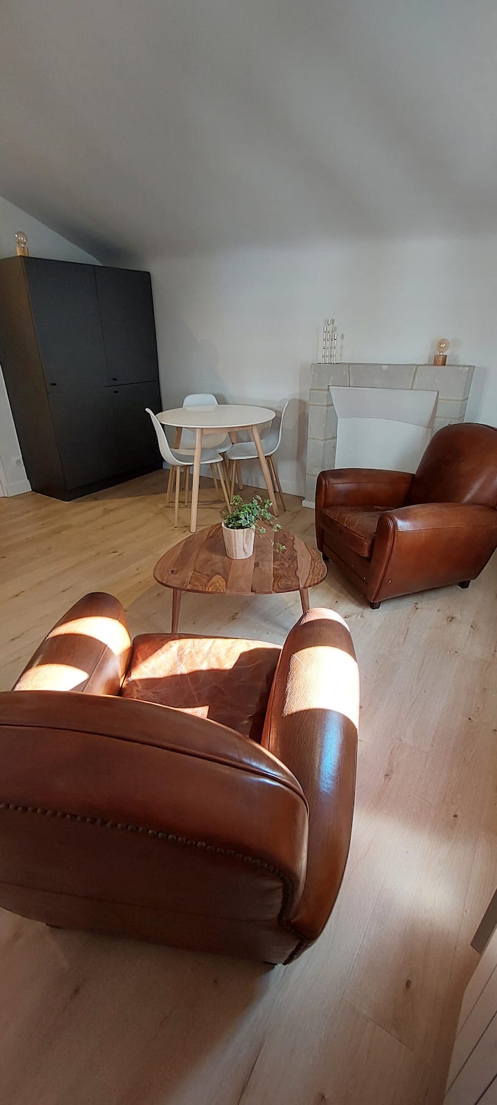 Appartement Centre-ville 42 M² - Angers