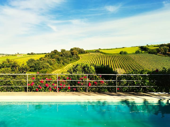 Quinta De Santo António - Arruda dos Vinhos