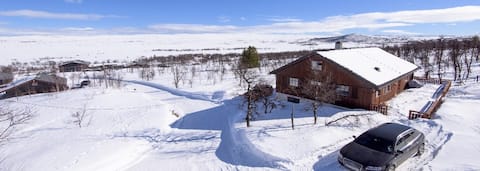 Large cabin with outdoor hot tub