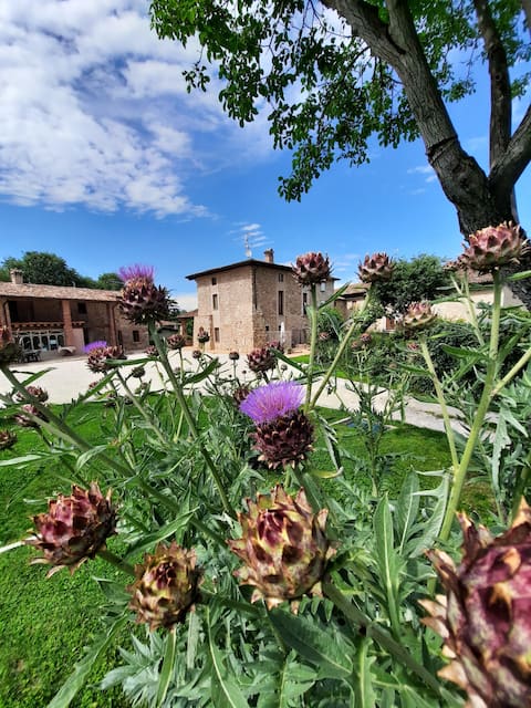 Sapphire Room, double exclusive garden