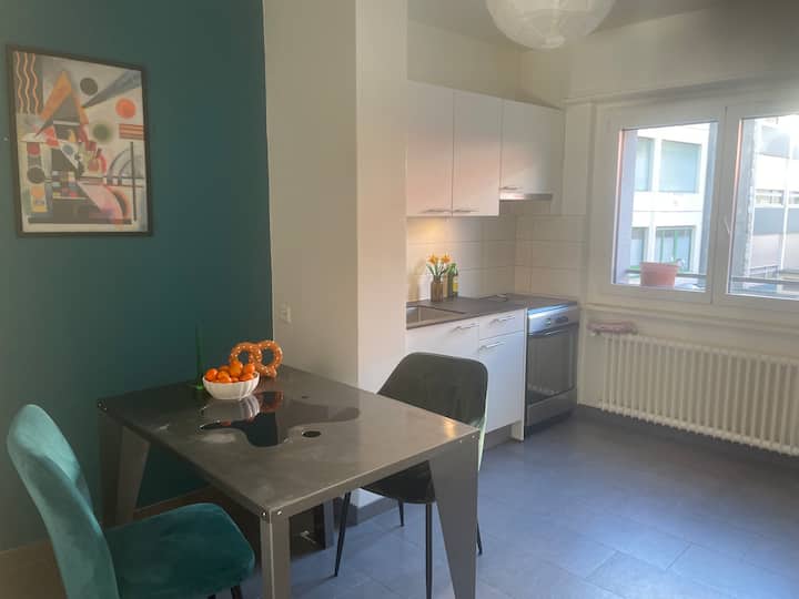 Chambre En Plein Coeur De Genève - Ginevra