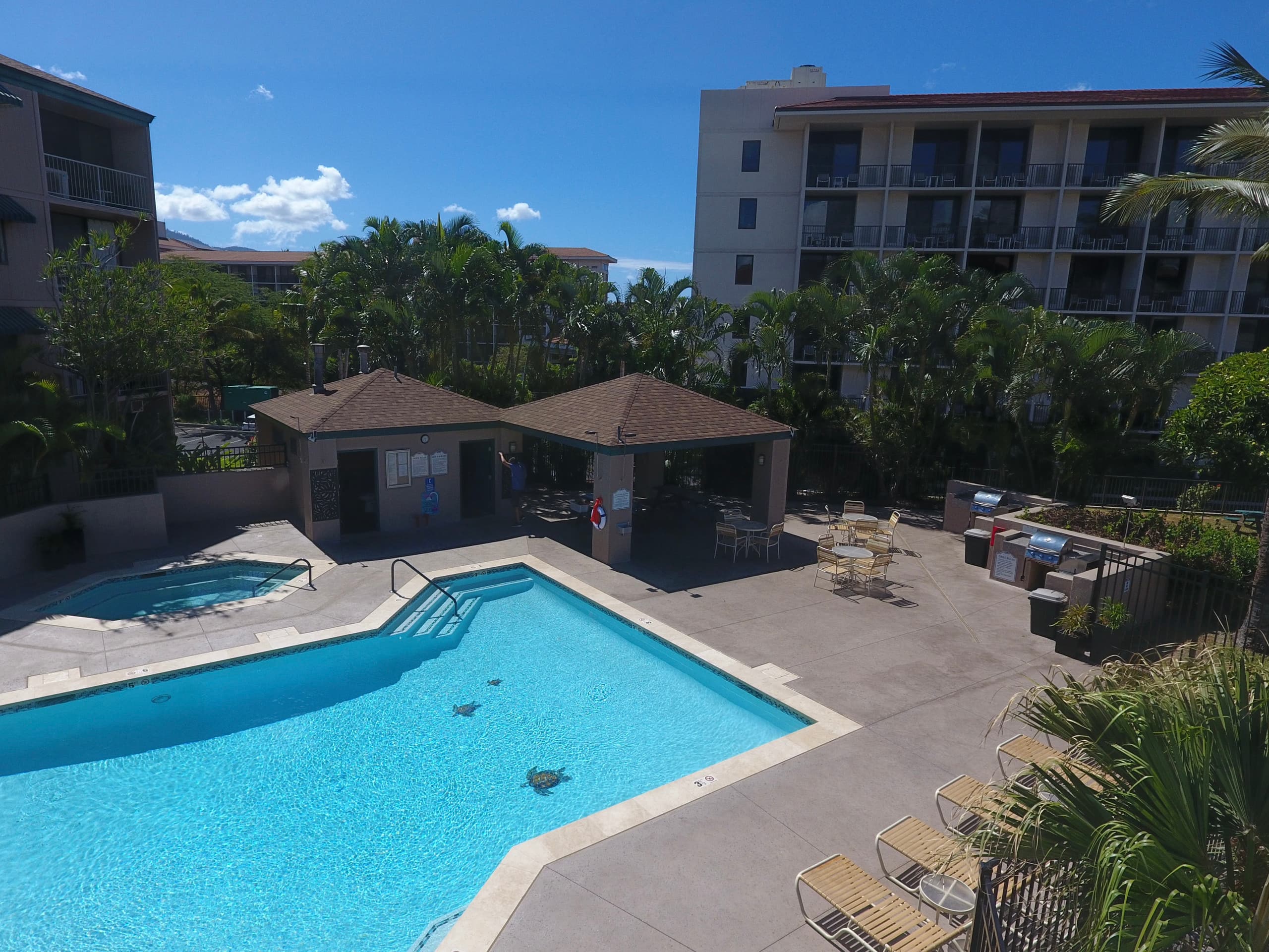Condo in Kihei · ★4.98 · 2 bedrooms · 2 beds · 2 baths - Image 30