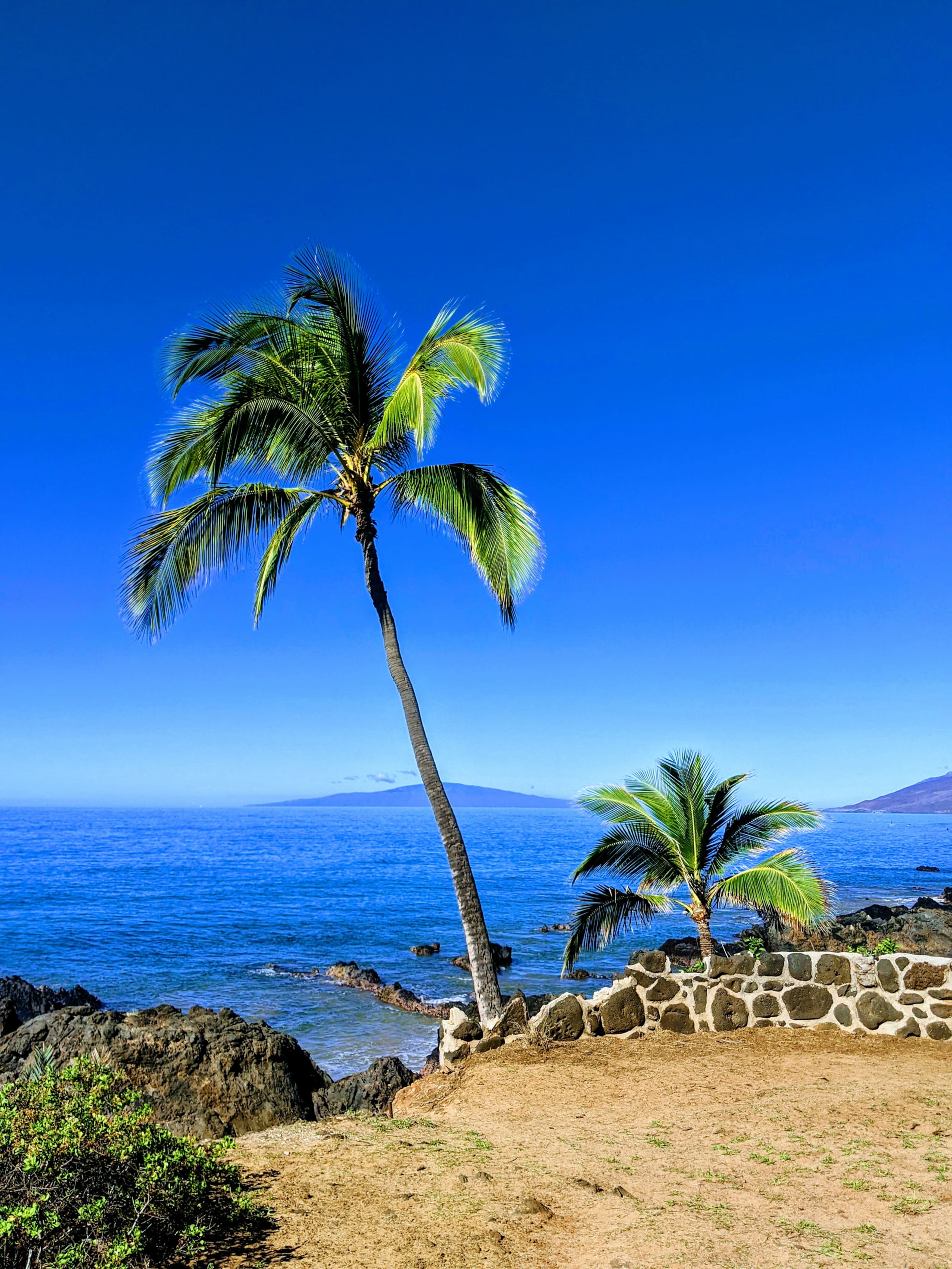 Condo in Kihei · ★4.98 · 2 bedrooms · 2 beds · 2 baths - Image 33