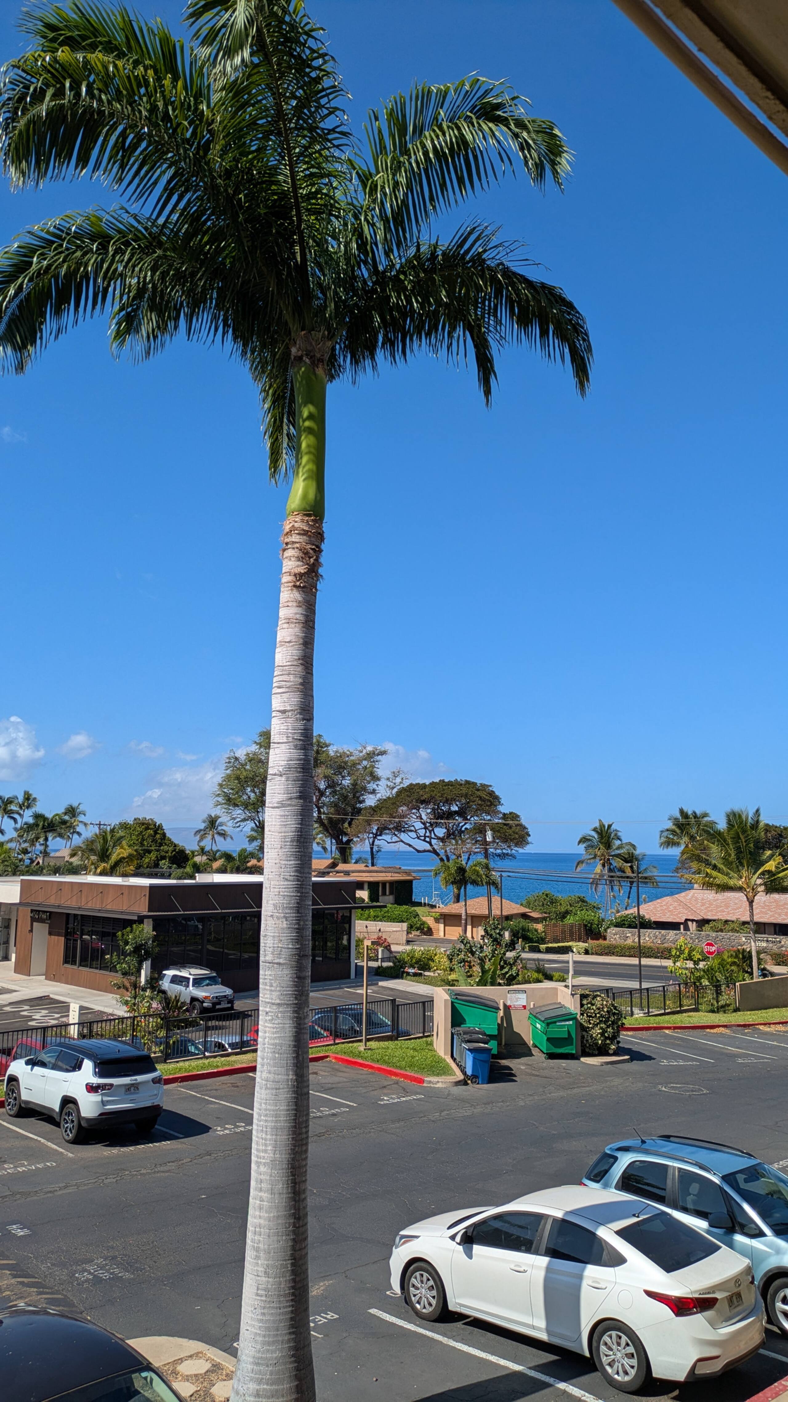 Condo in Kihei · ★4.98 · 2 bedrooms · 2 beds · 2 baths - Image 23