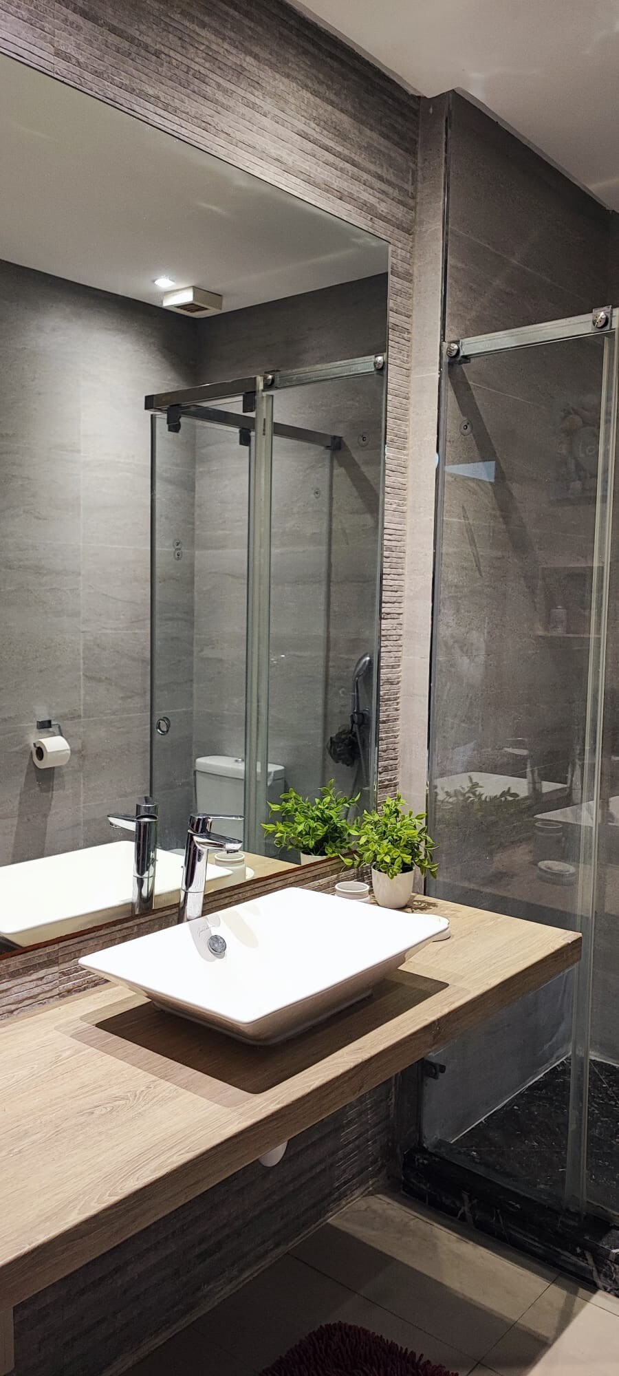 The bathroom is designed with modern features, including a spacious shower enclosed in glass. A clean sink sits atop a wooden countertop, complemented by greenery in a small pot. Natural light enhances the contemporary grey tiles and mirror reflections.