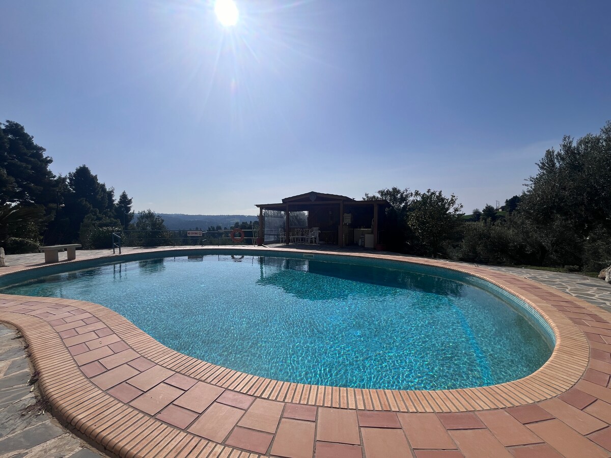 A large swimming pool with clear blue water is surrounded by a curved terracotta deck. Sunlight reflects off the surface, creating a serene ambiance. A wooden structure is visible in the background, creating a space for relaxation and gatherings.