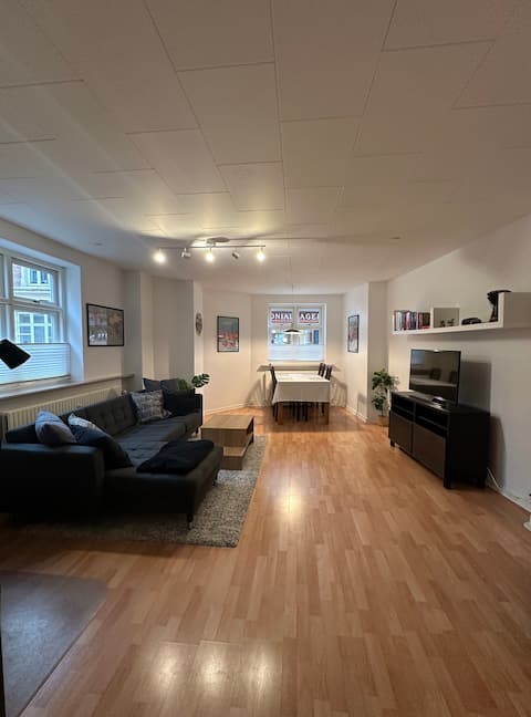 Large apartment in lovely Mejlgade